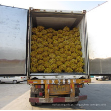 exportadores de gengibre China / comprar gengibre chinês